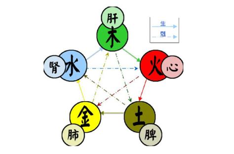 五行圖表|五行（对万事万物的取象比类）